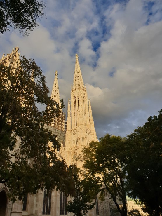 Wien4-Kopie.jpg